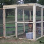 DIY Chicken Coops Plans That Are Easy To Build
